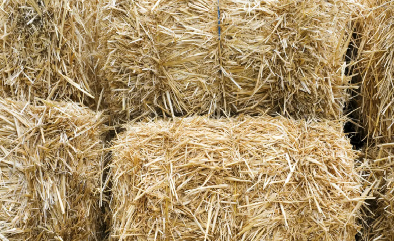 Kortista timoteheinää, joka myös sisältää erilaisia luonnonkasveja, kuten puna-apilaa, nurminataa ja voikukkaa. 