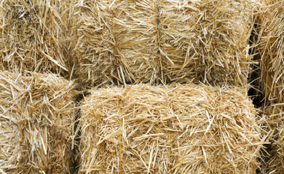 Kortista timoteheinää,  joka myös sisältää erilaisia luonnonkasveja, kuten puna-apilaa, nurminataa ja voikukkaa. &nbsp;