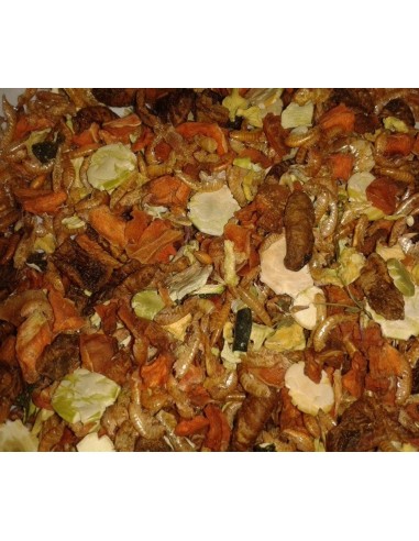 Maukas ja ravitseva välipala hamstereille, rikastettu kuivatuilla hyönteisillä ja katkaravuilla.